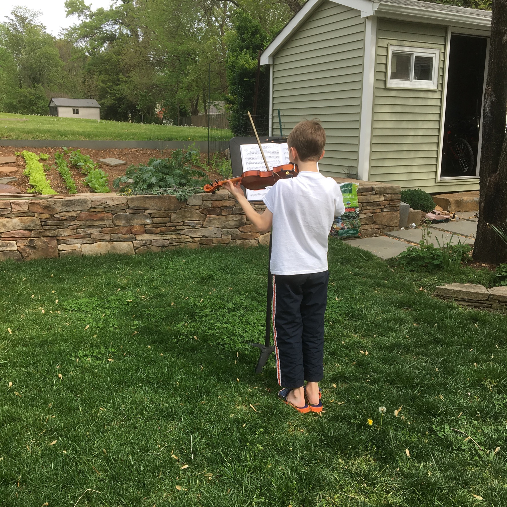 John Healey garden overview