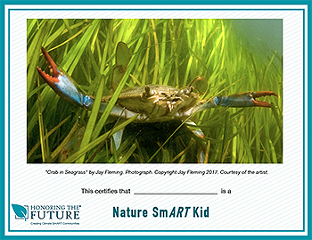 HTF Nature Smart Kid