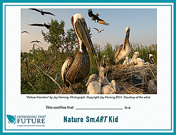 HTF Nature Smart Kid