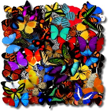 “Celebration" by Jennifer Ivory. Mixed media. Copyright 2015, Insectworks. Courtesy of the artist.