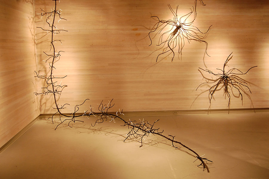 Dalya Luttwak, <em>(Left) Bamboo-Grass (Phyllostachys aurea)</em>. Dimensions: 127.5” x 29” x 157”. <em>(Right) Silver Maple-Tree (Acer saccharinum)</em>. Dimensions: 54” x 58” x9”. Both are painted steel (2009-2010). © 2010, Dalya Luttwak. Courtesy of the artist.