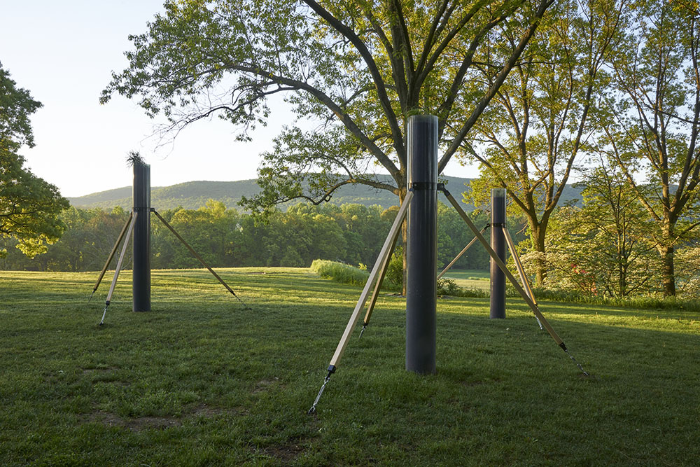 Maya Lin, The Secret Life of Grasses (2018). PVC tube, lightweight soil, grasses, oak, cable, steel. Dimensions: each 10 ft. high (304.8 cm) x 12 in. (30.5 cm) in diameter. ©Maya Lin, 2018. Plants courtesy of the Land Institute, Salina, Kansas. Courtesy of the artist.
