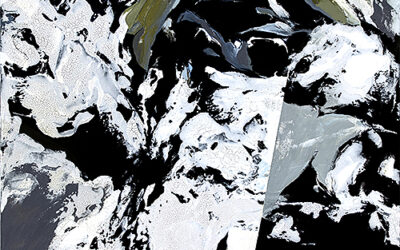 Climate Change: Art & Action Exhibition Opens in Providence