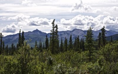 Alaskan Journey Exhibition Opens As State’s Temperature Soars