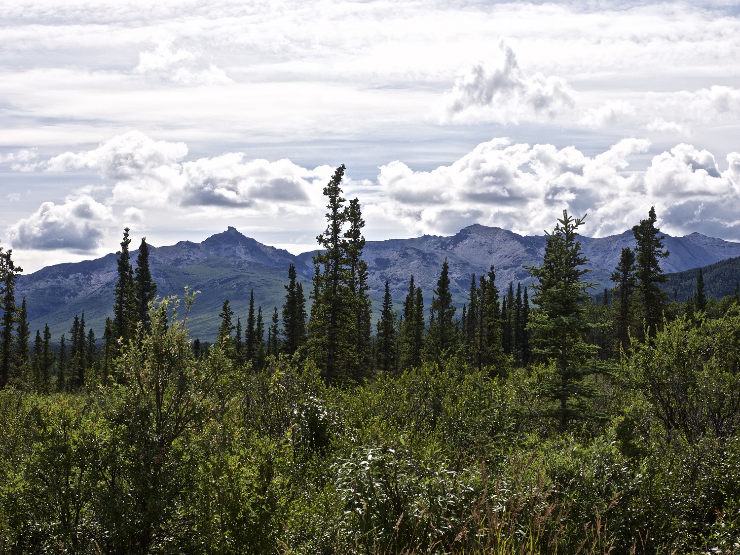 Caption: Peter Handler,<i> Stampede Road View of the Alaska Range</i> (2015). Photograph. <i>© Handler Studio 2015.