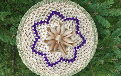 Basketmakers Join With Scientists to Save Endangered Art Form