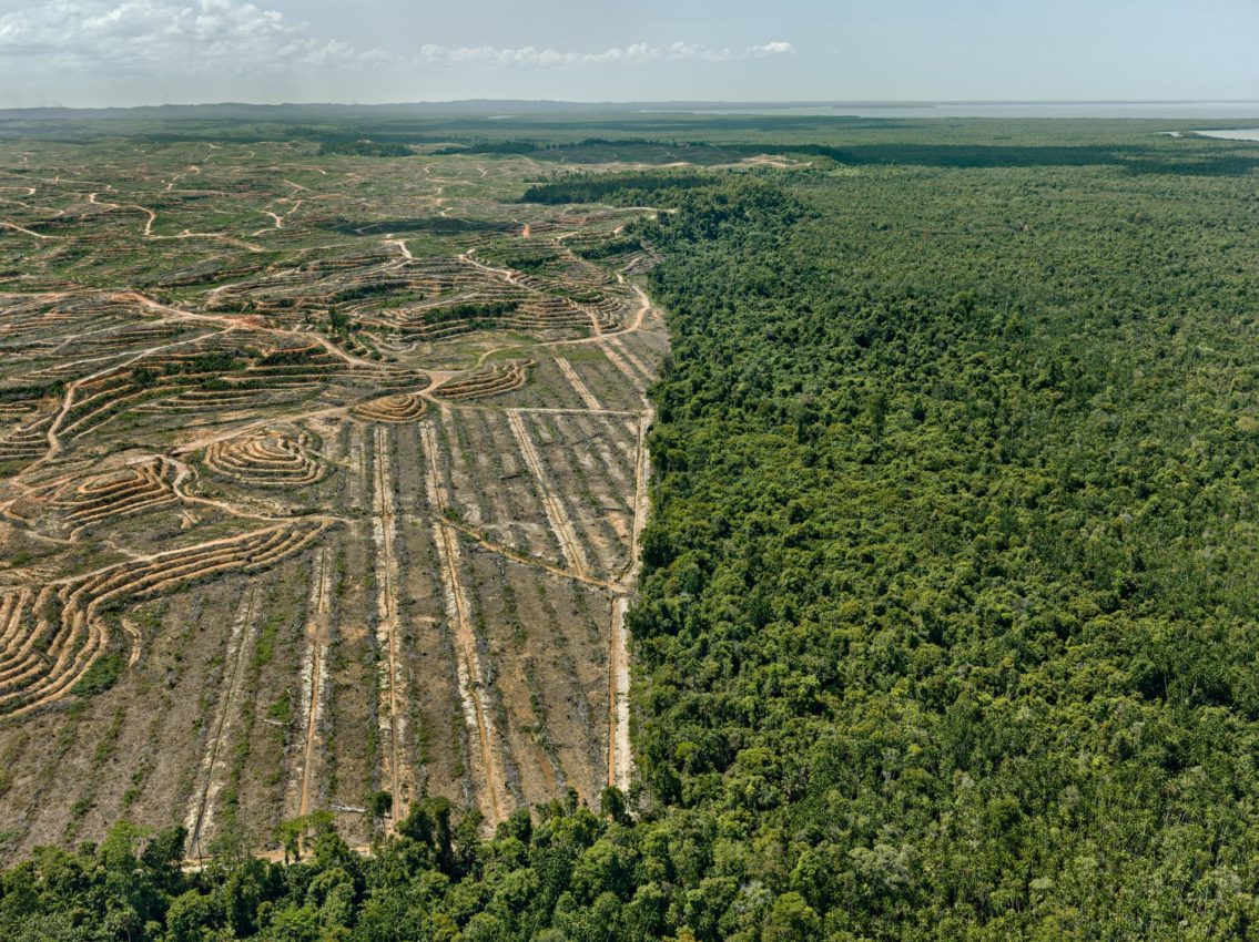 Edward Burtynsky. Clearcut #1, Palm Oil Plantation, Borneo, Malaysia, 2016 from the Anthropocene series. Photograph. ©Edward Burtynsky. Courtesy of Weinstein Hammons Gallery, Minneapolis / Nicholas Metivier Gallery, Toronto.  Every year, humans eliminate roughly 18.7 million acres of forestland, mainly for agriculture. Palm oil production drives much of this land conversion, generating cheap vegetable oil for cooking and biofuels.  Spurred by soaring world demand, Indonesia is sacrificing large swaths of Borneo’s tropical forests to increased palm oil production.   Eliminating forests removes carbon capture opportunities, increases erosion (to the detriment of soils and waterways), and deprives the ecosystem of the forests’ drought-reducing functions. Burtynsky aims to capture the scale of deforestation and its impacts on people, animals and ecosystems.