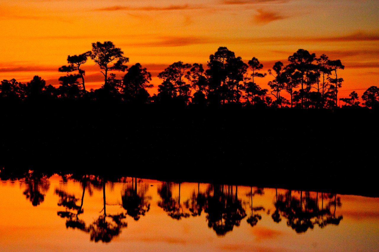 Dudley Edmondson, Florida Sunset (2010). Photograph. ©Dudley Edmondson. Courtesy of the artist.   Trees line the waterway bringing drinking water from Lake Okeechobee to West Palm Beach, Florida. Their leaves are hard at work absorbing carbon dioxide, a major contributor to global warming. They also give off cooling water vapor, which blows inland, reducing droughts. And they soften the impact of heavy rains so soils can soak up rainwater for use and future release.  Tree roots help too, stabilizing stream banks and filtering runoff for cleaner drinking water.  