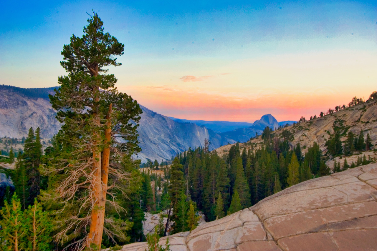 Dudley Edmondson, Yosemite High (2005). Photograph. ©Dudley Edmondson. Courtesy of the artist.   The National Park Service has dubbed Yosemite “the meeting place of trees.” An abrupt 13,000-foot rise in elevation accommodates a diversity of climates with distinctive foliage. Drought-resistant trees prefer the dry lower reaches; cold-hardy evergreens edge the timberline.   For tree-lovers, the view from any peak presents a feast for the eyes. Racing to beat sunset, Edmondson captures a high country view in the day’s waning light.