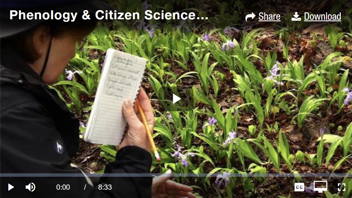 Image of video  Phenology and Citizen Science in the Great Smoky Mountains