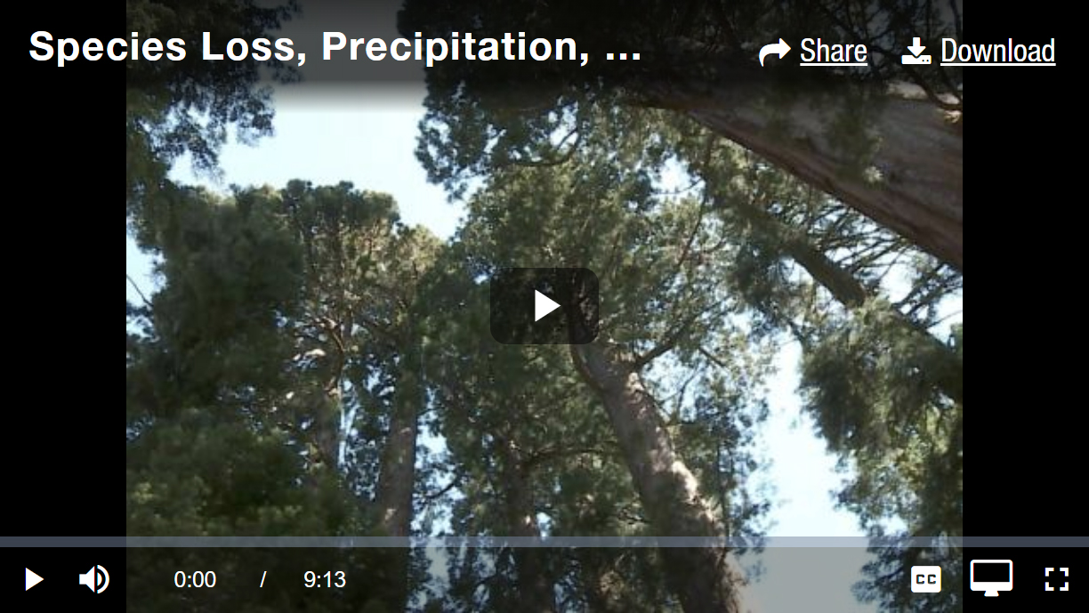 Species Loss, Precipitation and Fire in Sequoia National Park - image of video
