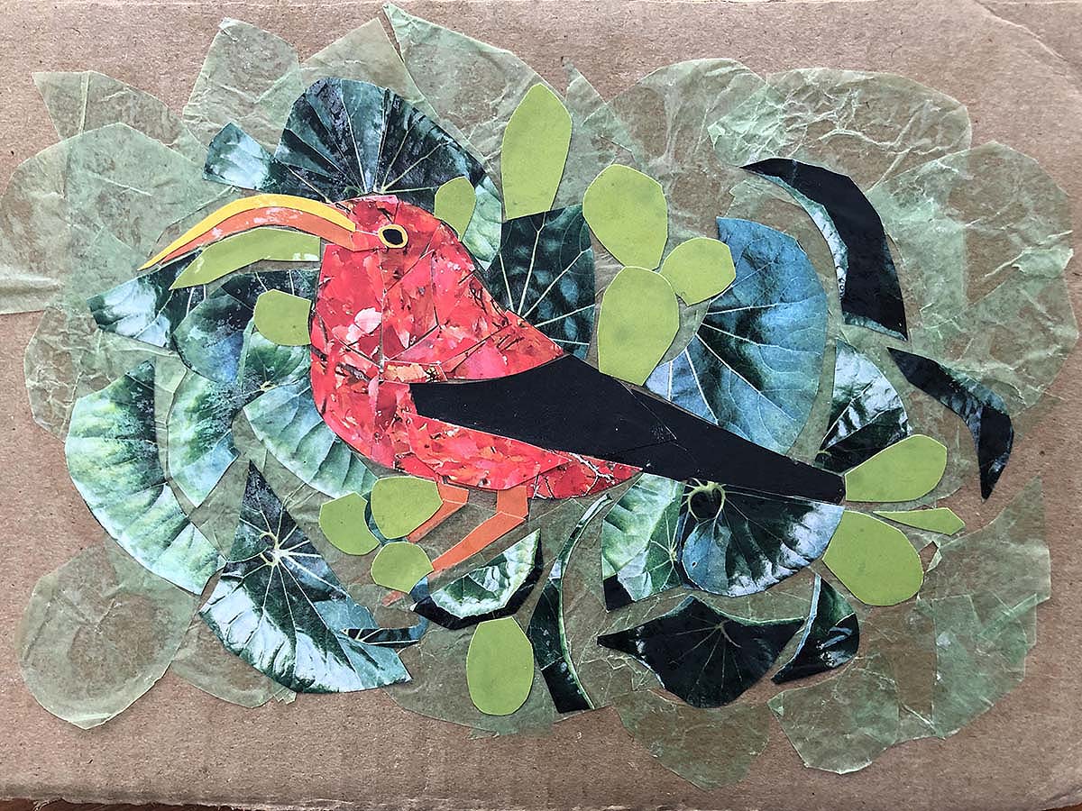 Carolyn Peirce, Hawaiian I'iwi, Recycled paper collage ©2020 Carolyn Peirce. Courtesy of the artist.