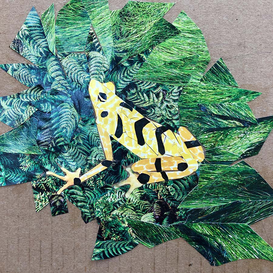 Carolyn Peirce, Panamanian Golden Frog, Recycled paper collage ©2020 Carolyn Peirce. Courtesy of the artist.