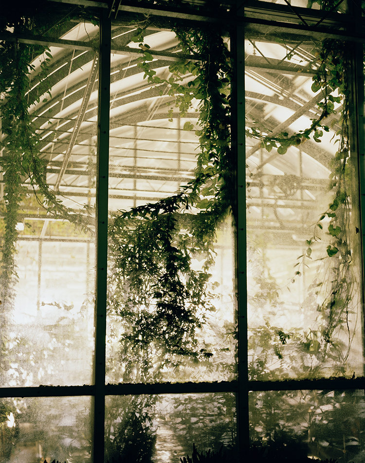 Dornith Doherty, <em>Greenhouse, Millennium Seed Bank, Royal Botanic Gardens, Kew, West Sussex, England, from the series Archiving Eden: The Vaults</em>, 2008–present. Courtesy of the artist and Holly Johnson Gallery, Dallas.
