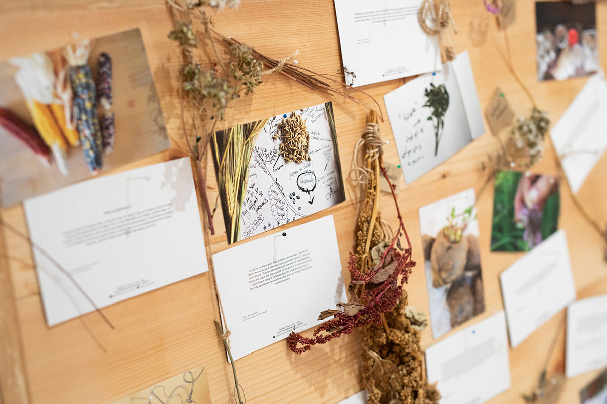 Seeds of Resistance, Installation view at the Eli and Edythe Broad Art Museum at Michigan State University, 2021. Photo: Eat Pomegranate Photography. Courtesy of the Museum.