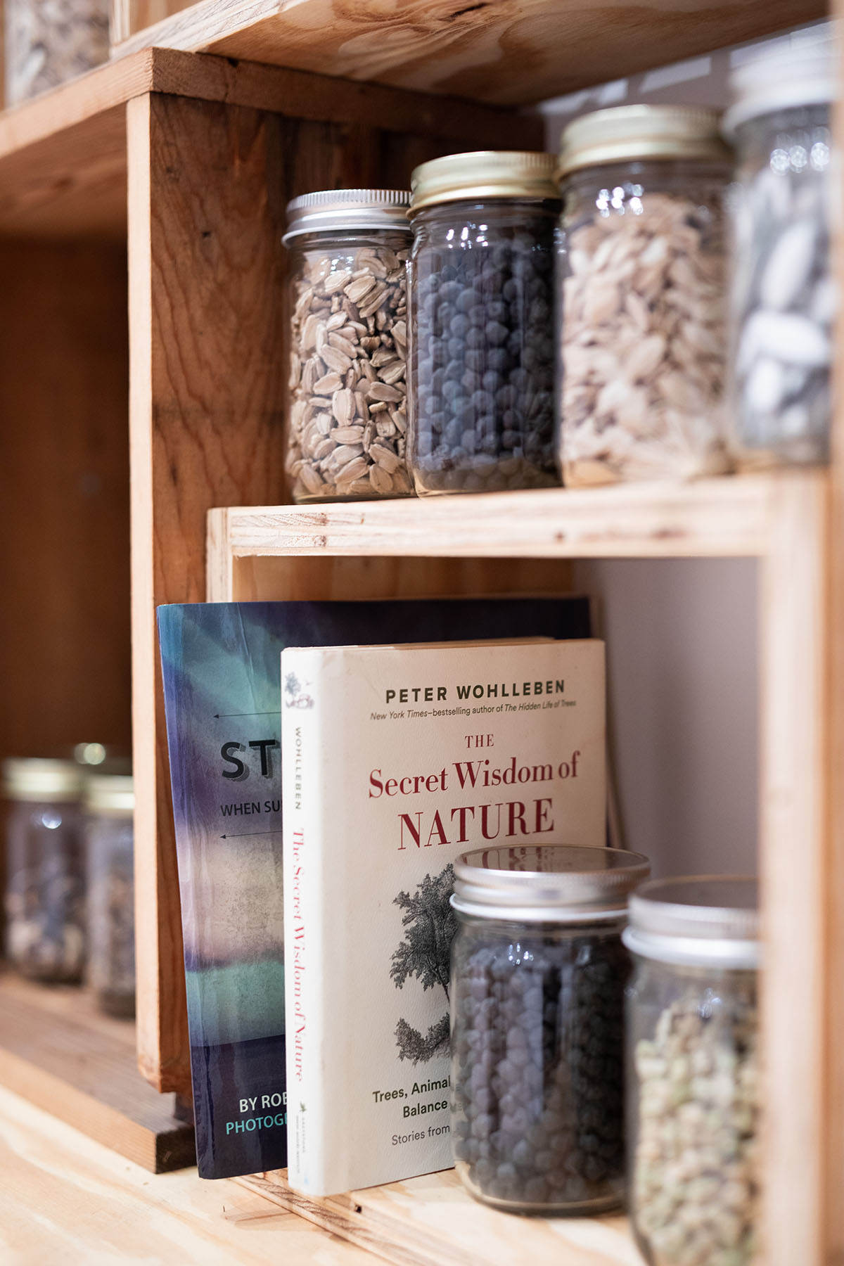 Seeds of Resistance, Installation view at the Eli and Edythe Broad Art Museum at Michigan State University, 2021. Photo: Eat Pomegranate Photography. Courtesy of the Museum.