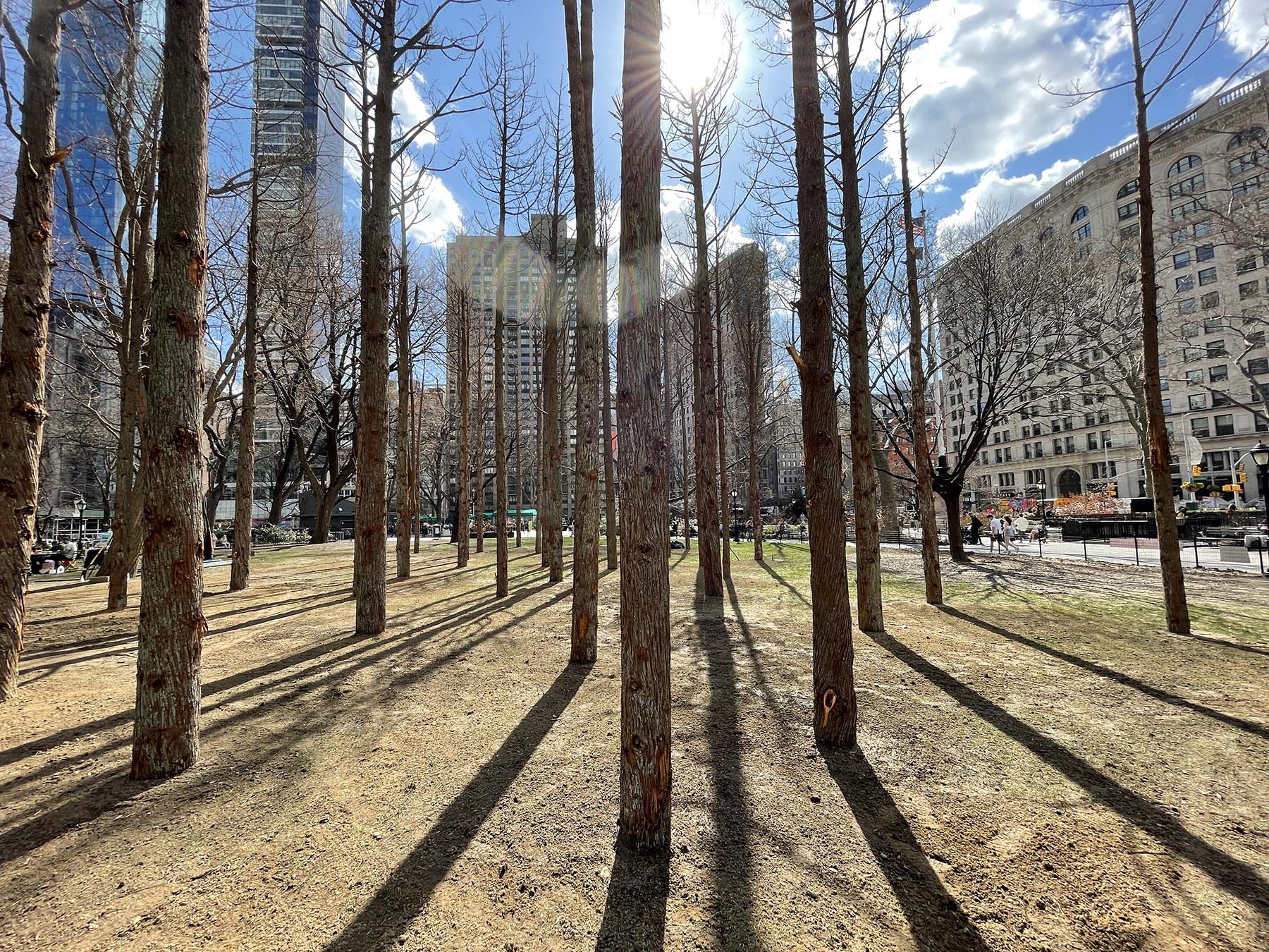 : Maya Lin, Ghost Forest, 2021. Installation. ©Maya Lin 2021. Courtesy of the artist and Madison Square Park Conservancy. Photo: Maya Lin Studio. 