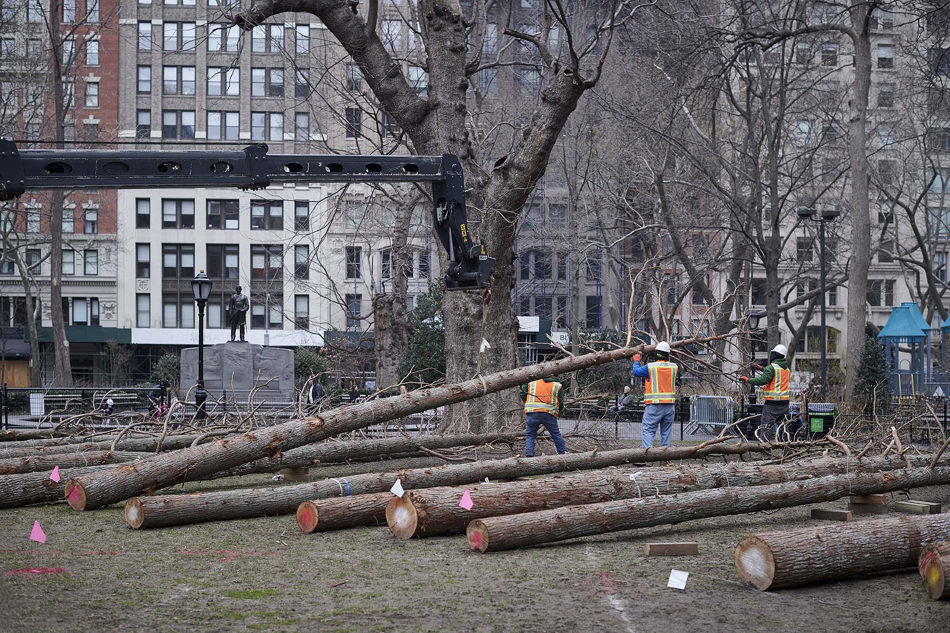 Maya Lin, Installation of <em>Ghost Forest</em> in process in Madison Square Park, 2021. ©Maya Lin 2021. Courtesy of the artist and Madison Square Park Conservancy. Photo: Andy Romer.