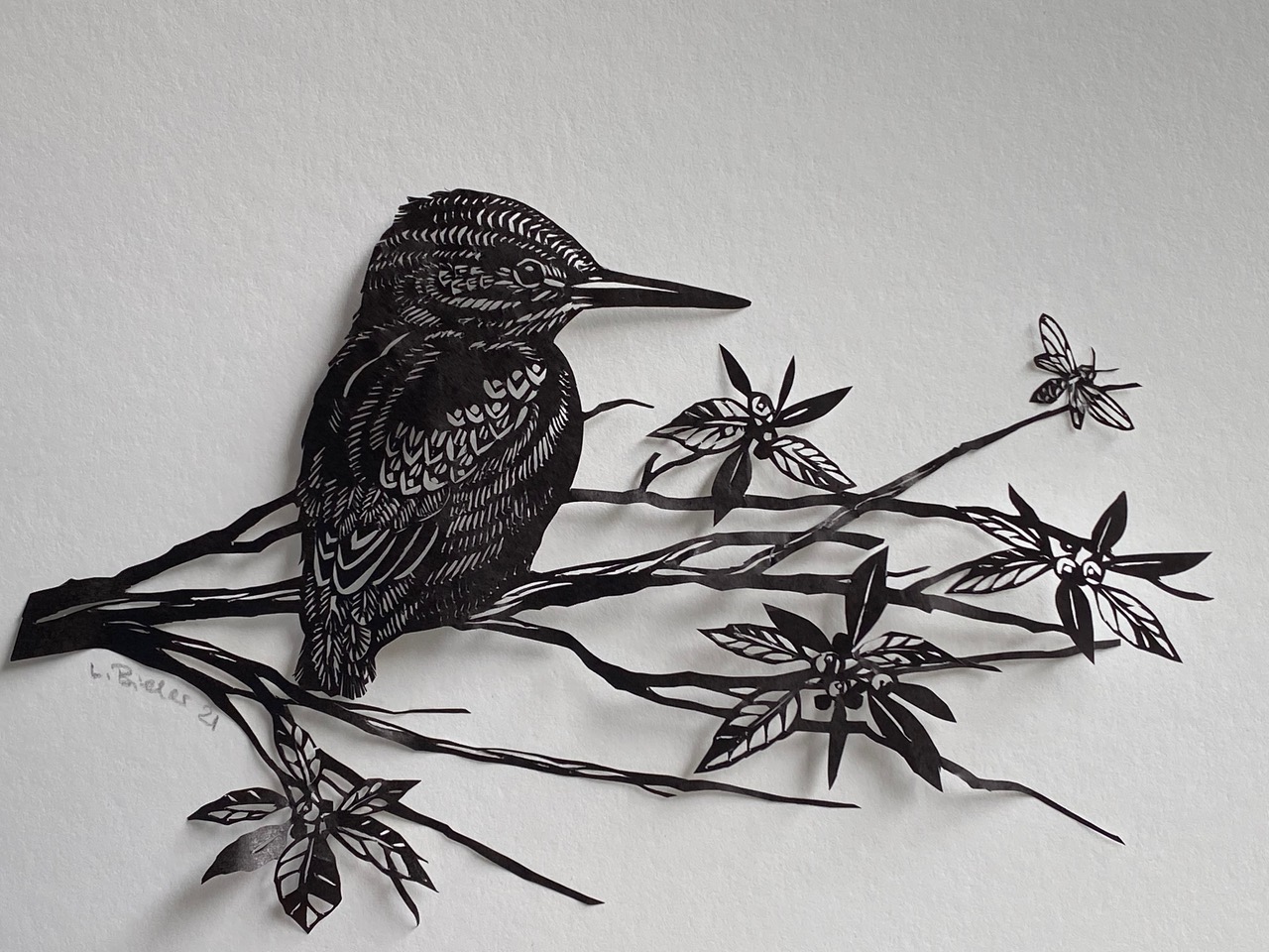 Lucrezia Bieler - papercuttings about nature’s fragility