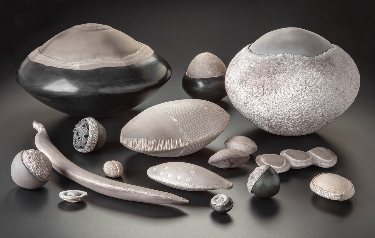Paula Shalan - ceramics about seed biodiversity