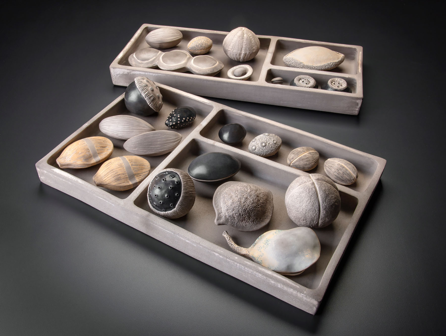 Paula Shalan, Seed Pods (2020). Ceramic. Dimensions: Specimen trays: 3” h x 18” w x 7.5” d and 3” h x 17.5” w x 10.5” d. ©Paula Shalan 2020. Courtesy of the artist.