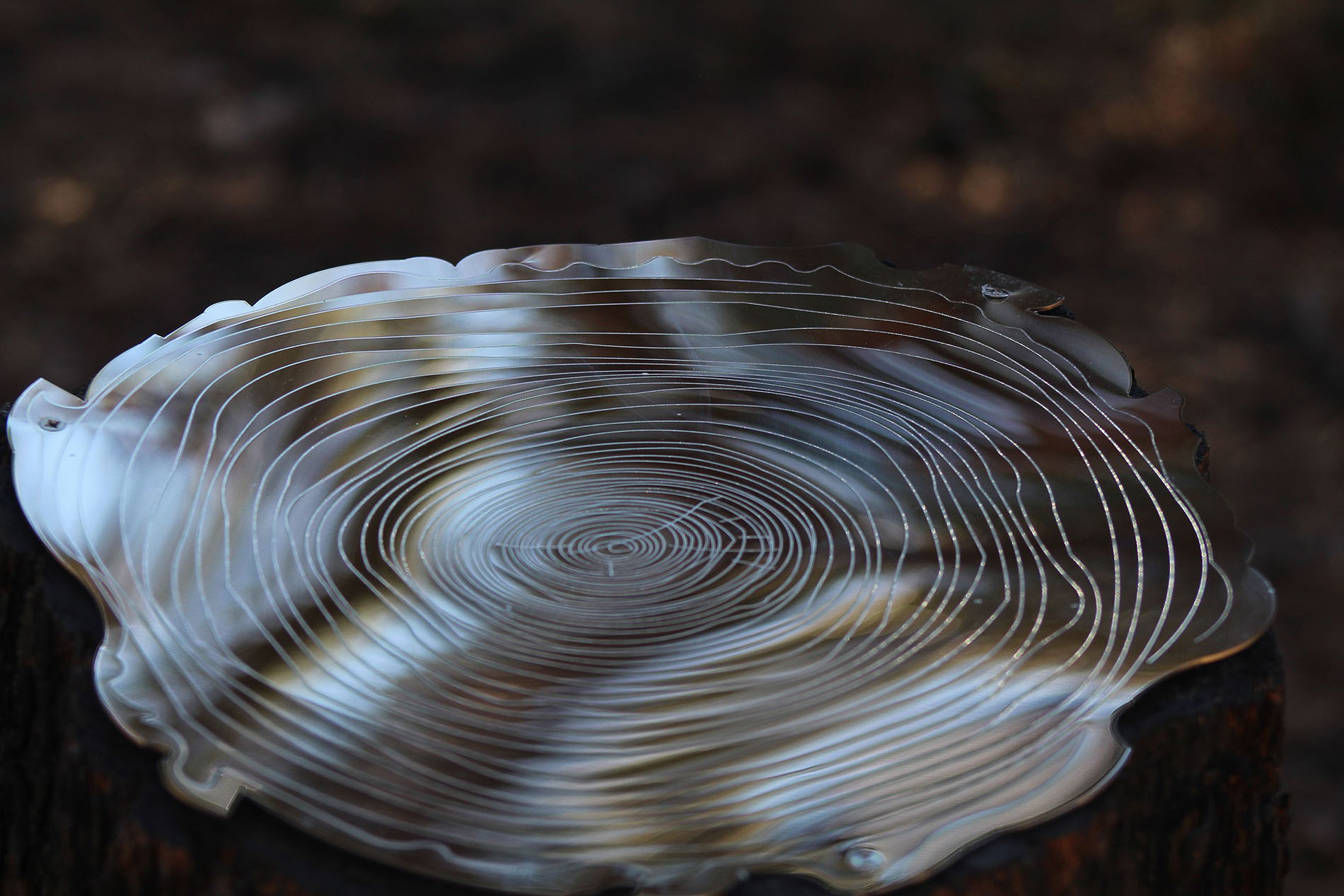 Amy Hoagland,<em> Reflections on the Future</em>. Etched stainless steel. ©Amy Hoagland 2021. Courtesy of the artist.