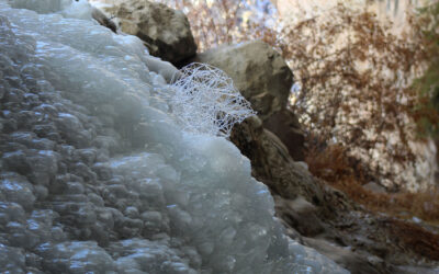 Emerging Craft Artists Excel With Focus on Sustainability