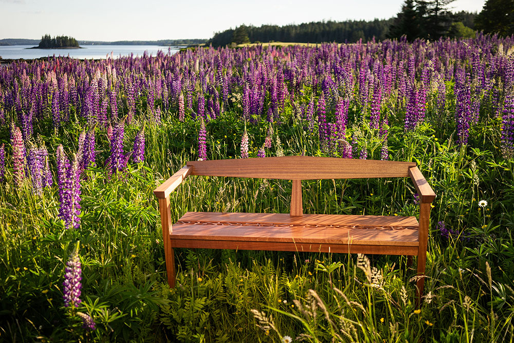 Christina Vincent - celebrating native species