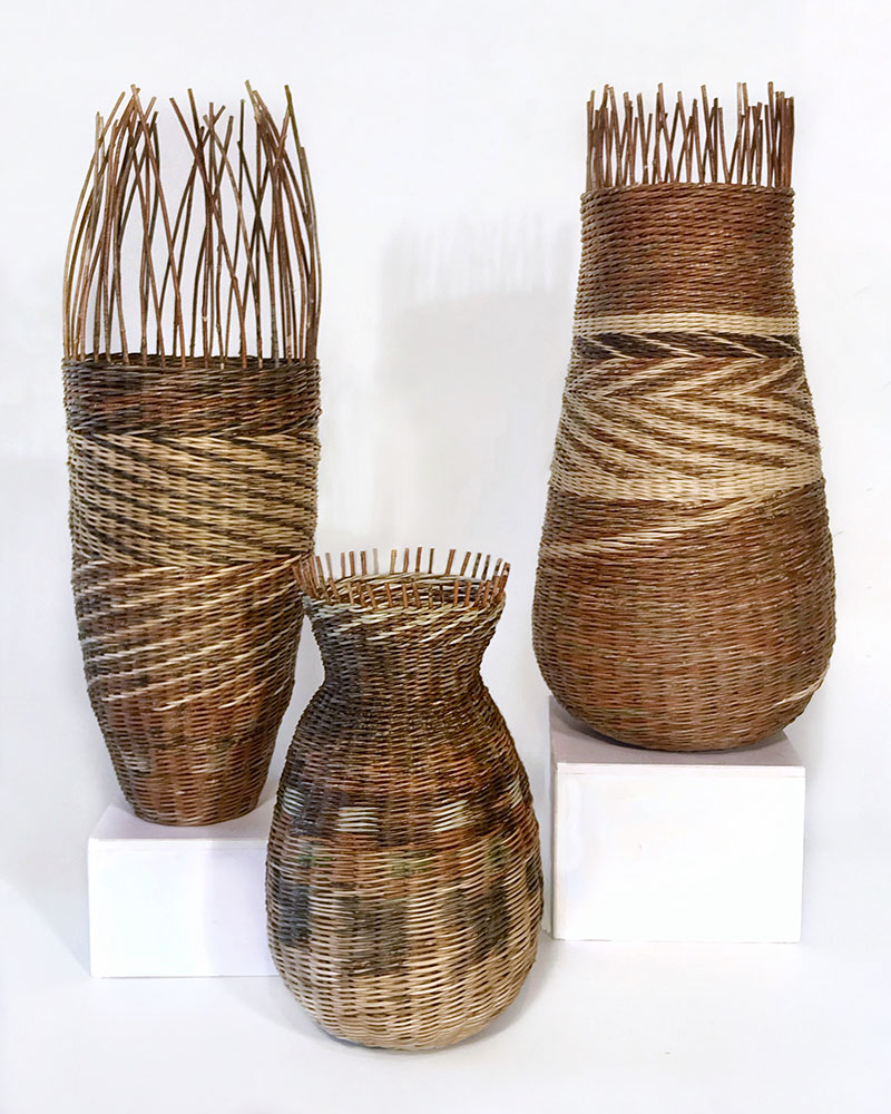 Kari Lonning - use of invasive vine