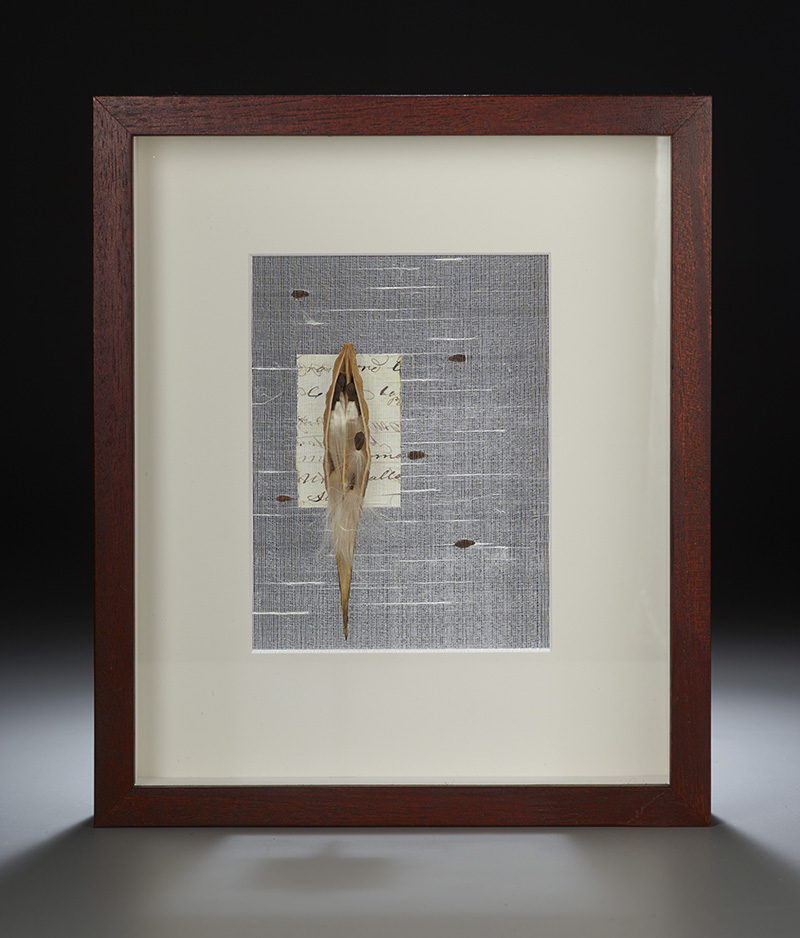 VIcki Essig - close attention to nature