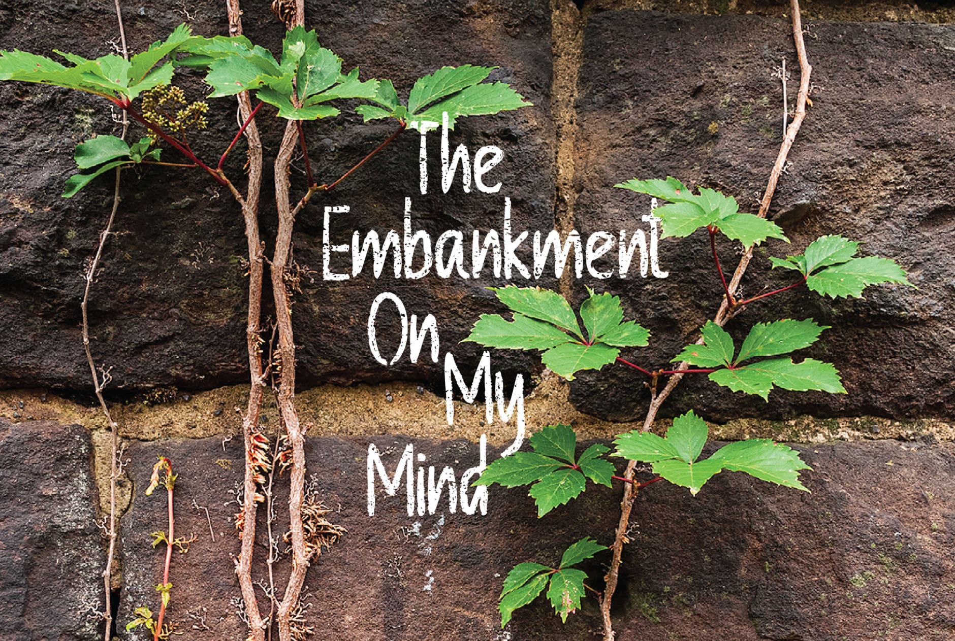 Poster announcing The Embankment on My Mind exhibition at NJCU’s art galleries. Underlying image: detail from photograph by Kerry Kolenut. ©Kerry Kolenut 2022. Courtesy of NJCU.