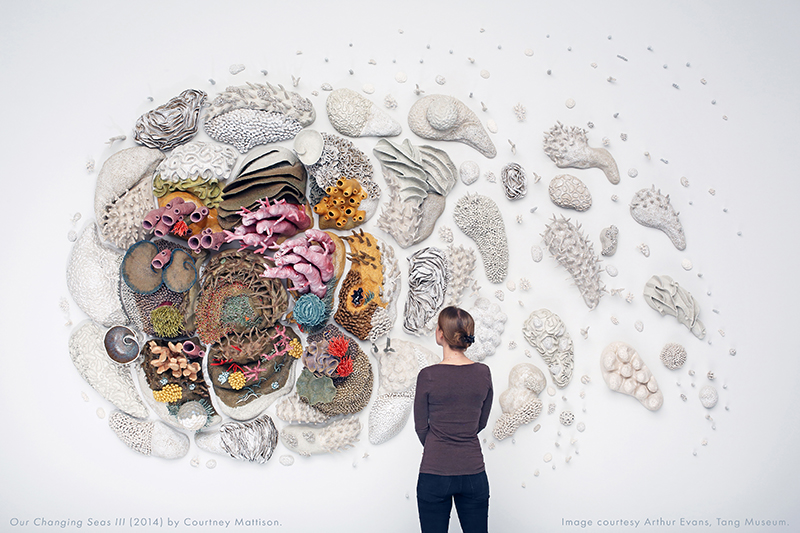 Courtney Mattison, Our Changing Seas 111, 2014. Ceramic sculpture. Installation view. ©Courtney Mattison 2014. Courtesy of Arthur Evans, Tang Museum.