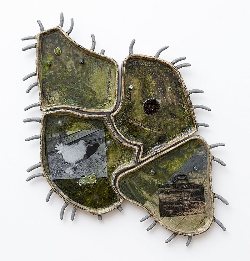 Erin Jane Nelson, Little Armoured One, 2020. Pigment print, found photograph, lichen, sunflower husk, metal and EcoPoxy on glazed stoneware. © Erin Jane Nelson 2020. Courtesy of the Moss Arts Center.