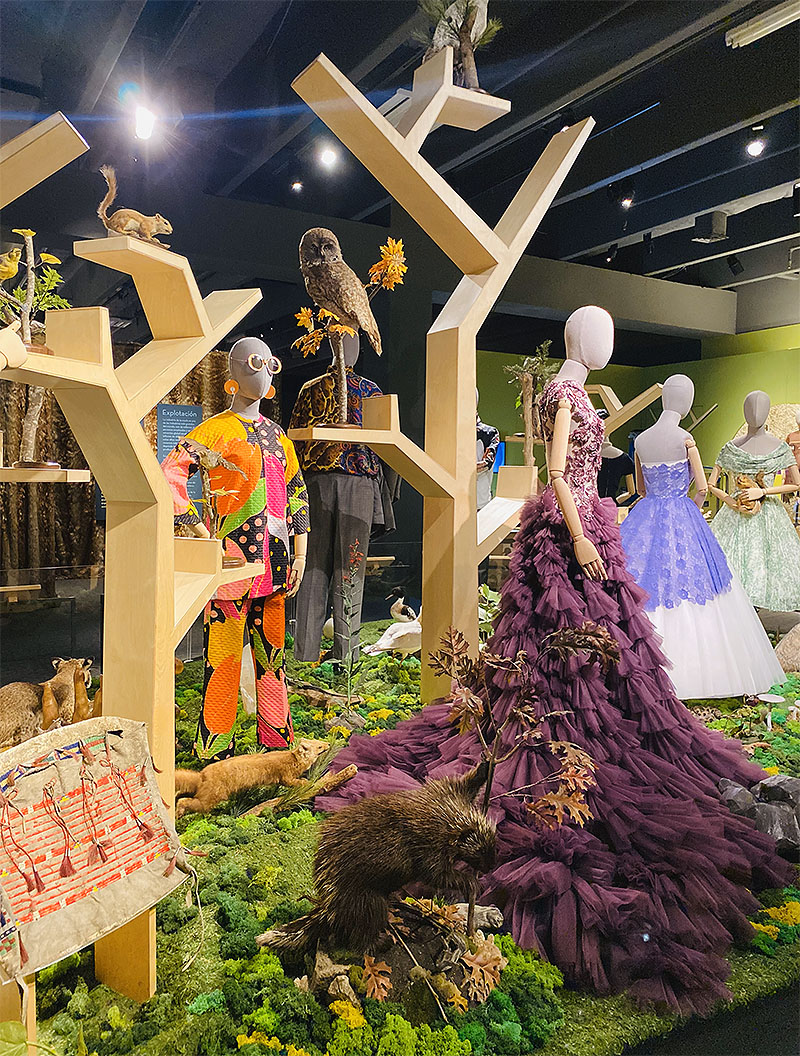 Fashion + Nature. Exhibit assemblage. Installation view. ©Grand Rapids Public Museum 2023. Courtesy of the Grand Rapids Public Museum.