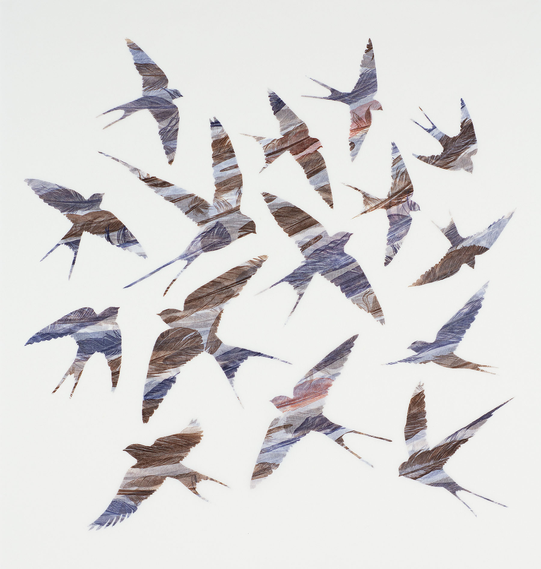 Ruth Thomas, As Swift As Swallows Fly. Original print from feathers and stencil on Japanese paper. 50 cm x 50 cm. ©2019 Ruth Thomas. Courtesy of the Makers Guild in Wales.