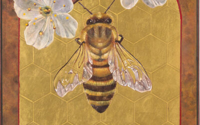 Iconography for a 21st Century Environmental Crisis