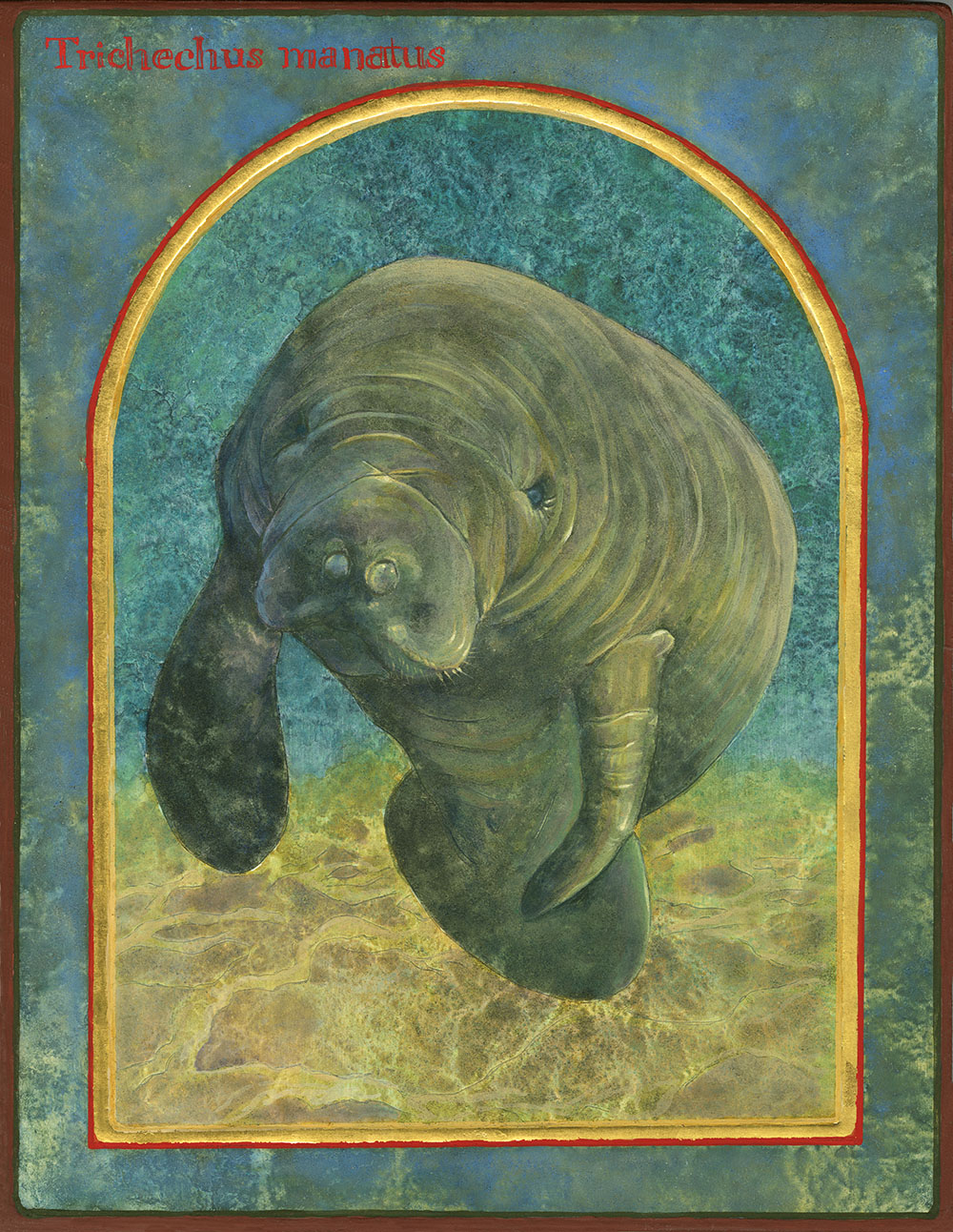 Angela Manno, The Florida Manatee, Trichechus Manatus. Egg Tempera and Gold Leaf on Wood. 9” x 7” x 1.” ©2022 Angela Manno. Courtesy of the artist.
