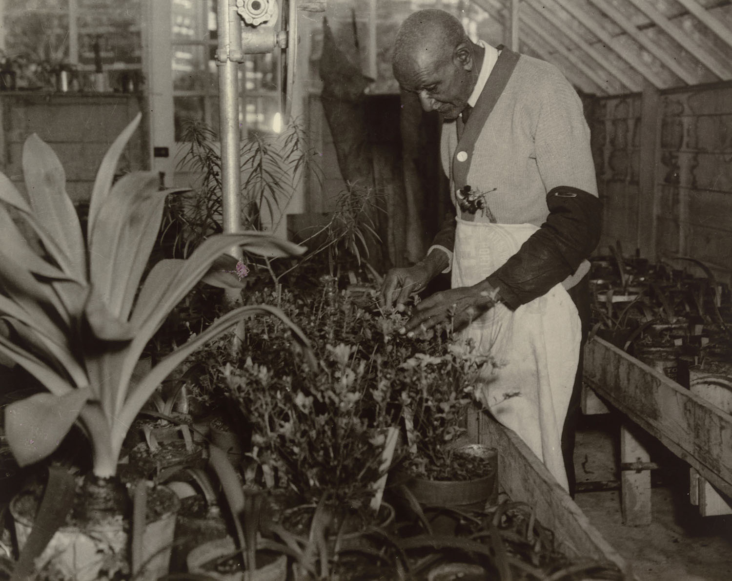 Prentice H. Polk, George Washington Carver, 1938. Gelatin silver print. ©Tuskegee University Archives, Tuskegee, AL. Courtesy of Smithsonian Institution National Portrait Gallery.